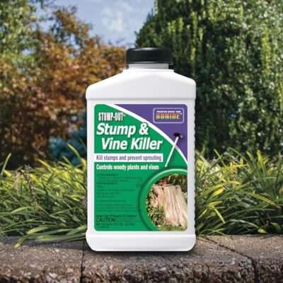 Bonide 2746 Stump & Vine Killer Concentrate, 8 oz Stumps and Vines Without harming Turf. Contains Brush Easy Application. Kills Oak, Poison Ivy and More, 1 - Image 6