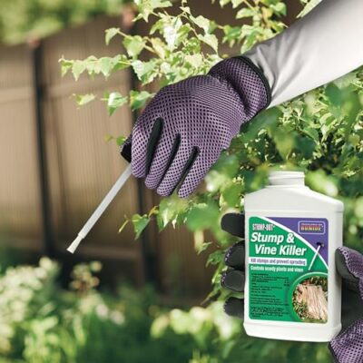 Bonide 2746 Stump & Vine Killer Concentrate, 8 oz Stumps and Vines Without harming Turf. Contains Brush Easy Application. Kills Oak, Poison Ivy and More, 1 - Image 7