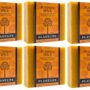 Plantlife Pumpkin Spice 6-pack Bar Soap - Moisturizing and Soothing Soap for Your Skin - Hand Crafted Using Plant-Based Ingredients - Made in California 4 oz Bar