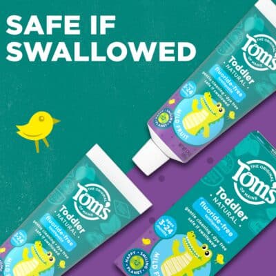 Tom's of Maine Fluoride-Free Toddler Training Toothpaste, Mild Fruit, 1.75 oz. 3-Pack (Packaging May Vary) - Image 3