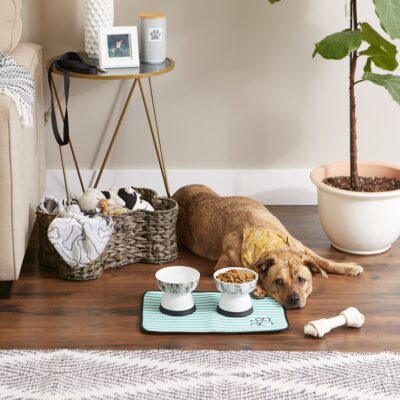 Bone Dry Machine Washable, Ultra Absorbent Pet Mat, 12x18", Green Stripe - Image 5